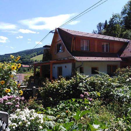 Ferienhaus Bauer Trattenbach  Екстериор снимка