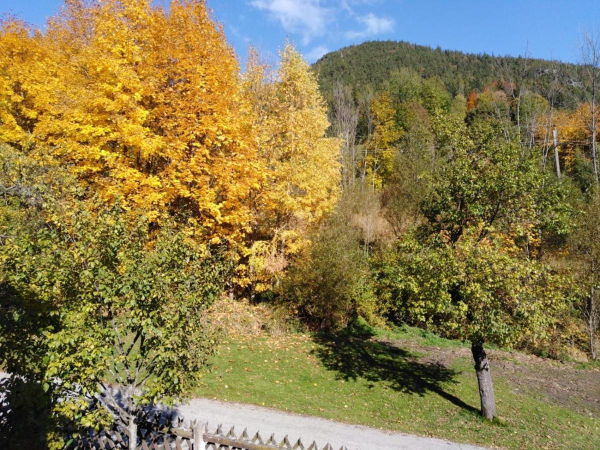 Ferienhaus Bauer Trattenbach  Екстериор снимка